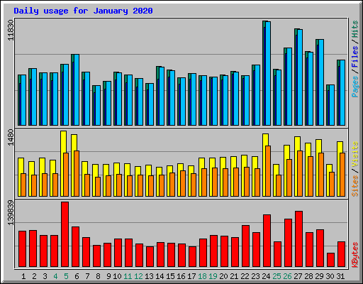 Daily usage for January 2020