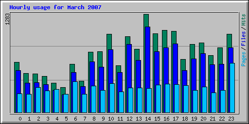 Hourly usage for March 2007