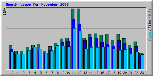 Hourly usage for November 2009