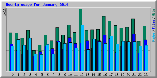 Hourly usage for January 2014