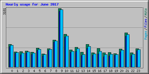 Hourly usage for June 2017