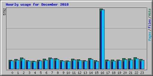 Hourly usage for December 2018