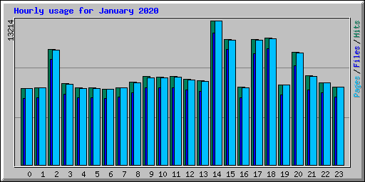 Hourly usage for January 2020