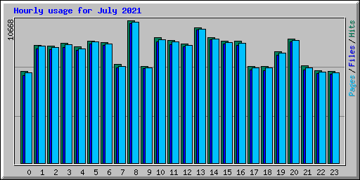 Hourly usage for July 2021