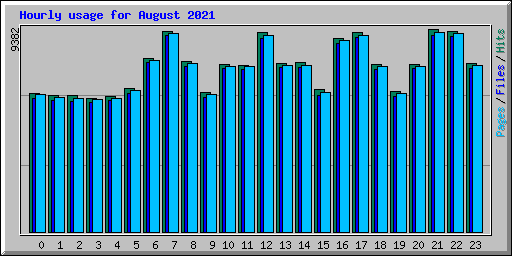 Hourly usage for August 2021
