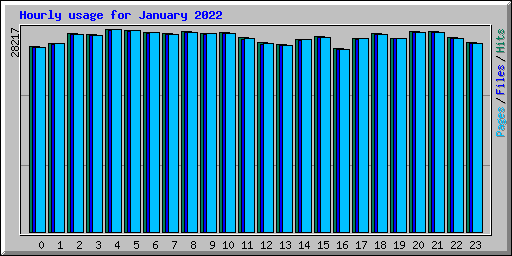 Hourly usage for January 2022