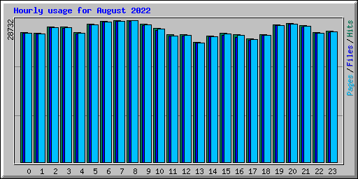 Hourly usage for August 2022