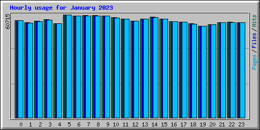 Hourly usage for January 2023