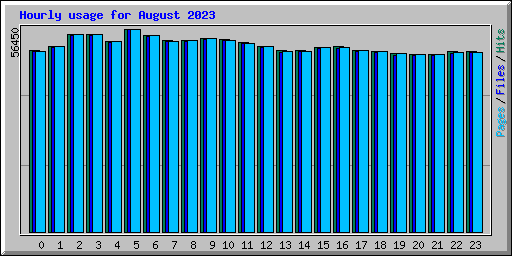 Hourly usage for August 2023