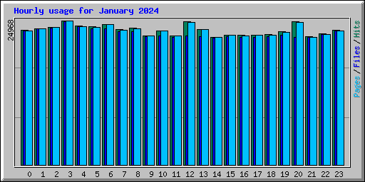 Hourly usage for January 2024