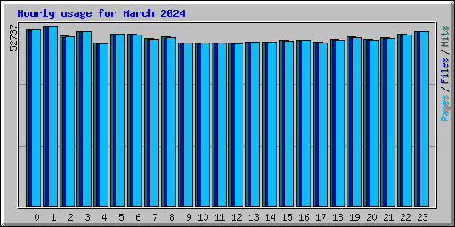 Hourly usage for March 2024