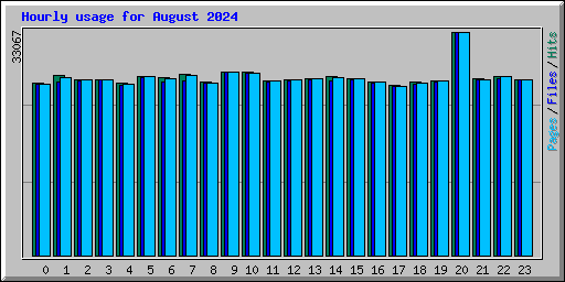 Hourly usage for August 2024