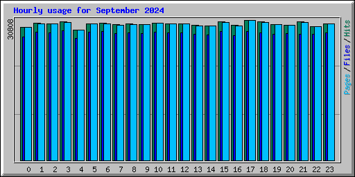 Hourly usage for September 2024