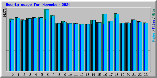 Hourly usage for November 2024