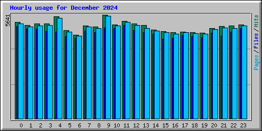 Hourly usage for December 2024
