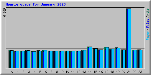 Hourly usage for January 2025