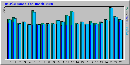 Hourly usage for March 2025