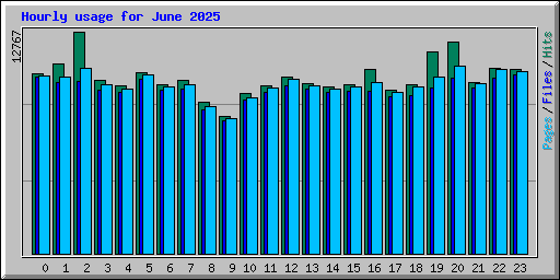 Hourly usage for June 2025