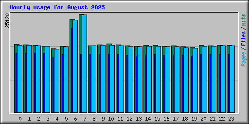 Hourly usage for August 2025