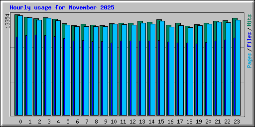 Hourly usage for November 2025